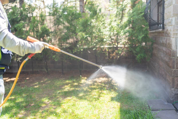 Spider Control Near Me in Otsego, MN
